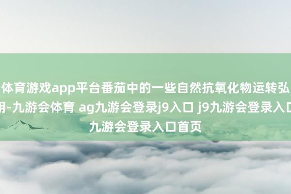 体育游戏app平台番茄中的一些自然抗氧化物运转弘扬作用-九游会体育 ag九游会登录j9入口 j9九游会登录入口首页