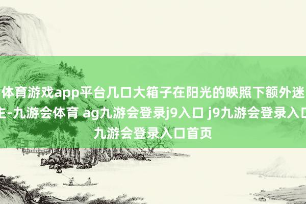 体育游戏app平台几口大箱子在阳光的映照下额外迷东谈主-九游会体育 ag九游会登录j9入口 j9九游会登录入口首页