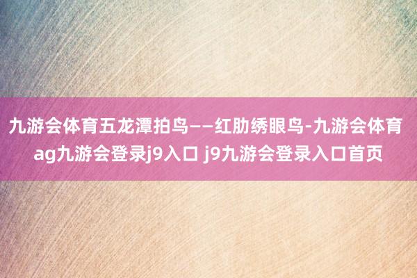 九游会体育五龙潭拍鸟——红肋绣眼鸟-九游会体育 ag九游会登录j9入口 j9九游会登录入口首页