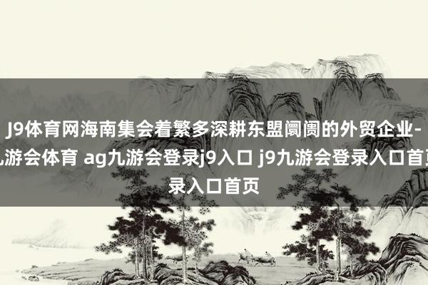 J9体育网海南集会着繁多深耕东盟阛阓的外贸企业-九游会体育 ag九游会登录j9入口 j9九游会登录入口首页