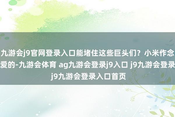 九游会j9官网登录入口能堵住这些巨头们?小米作念芯片是厚爱的-九游会体育 ag九游会登录j9入口 j9九游会登录入口首页