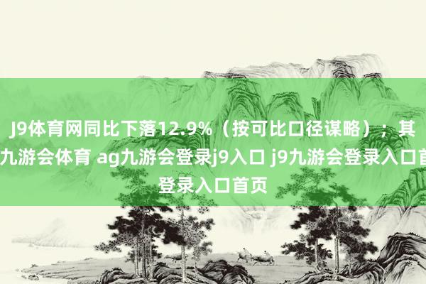 J9体育网同比下落12.9%（按可比口径谋略）；其中-九游会体育 ag九游会登录j9入口 j9九游会登录入口首页