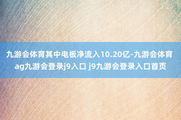 九游会体育其中电板净流入10.20亿-九游会体育 ag九游会登录j9入口 j9九游会登录入口首页