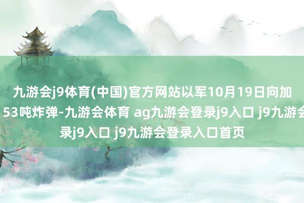 九游会j9体育(中国)官方网站以军10月19日向加沙地带投放了153吨炸弹-九游会体育 ag九游会登录j9入口 j9九游会登录入口首页
