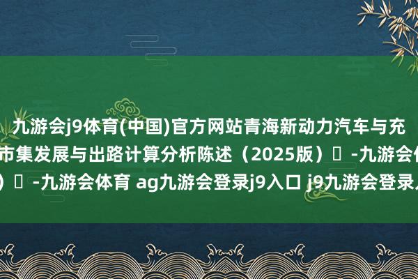九游会j9体育(中国)官方网站青海新动力汽车与充电基础门径(充电桩)市集发展与出路计算分析陈述(2025版)-九游会体育 ag九游会登录j9入口 j9九游会登录入口首页