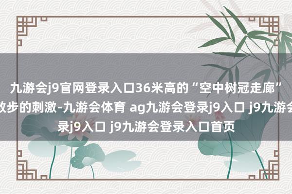 九游会j9官网登录入口36米高的“空中树冠走廊”让你感受高空散步的刺激-九游会体育 ag九游会登录j9入口 j9九游会登录入口首页