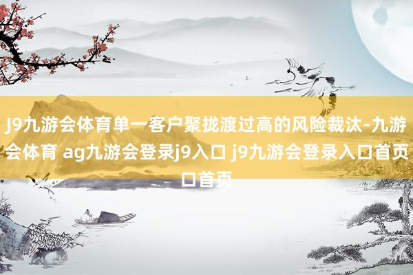 J9九游会体育单一客户聚拢渡过高的风险裁汰-九游会体育 ag九游会登录j9入口 j9九游会登录入口首页