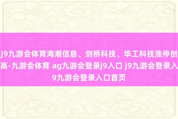J9九游会体育海潮信息、剑桥科技、华工科技涨停创历史新高-九游会体育 ag九游会登录j9入口 j9九游会登录入口首页